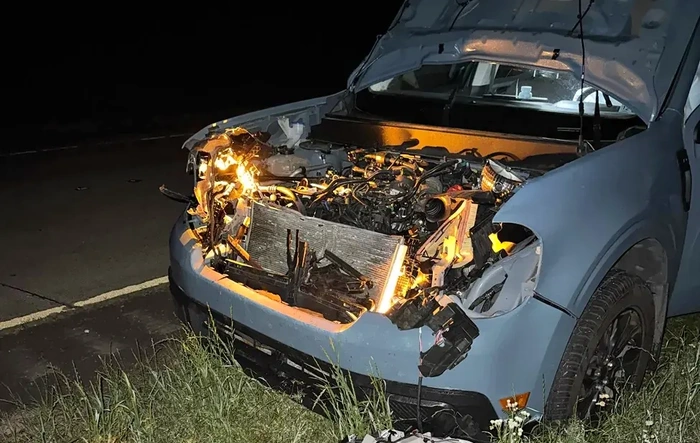 My Maverick saved me. Totaled in deer strike @ 75 mph