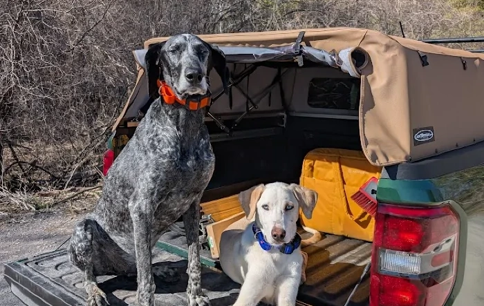 Maverick with dogs setup: Ruffland XL Crates + Softopper. What's your setup?