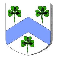 TheIrishWeaver