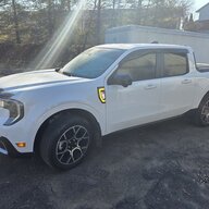 Lariat Owner