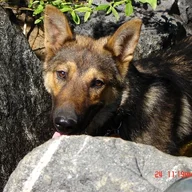 Meeka
