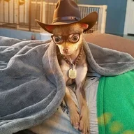 Meagdog