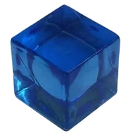 Cubelodyte
