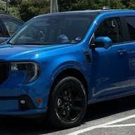 GSBlueWolf
