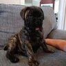 Pete875730