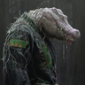 GatorBite