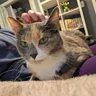 PamelaHaley