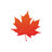 Maple