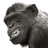 twstedmonkey