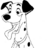 Pongo65
