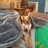 Meagdog